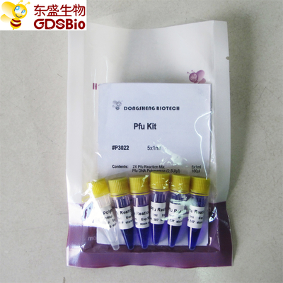 Miscela matrice acida nucleica P3022 1ml×5 di Pfu di rilevazione di PCR
