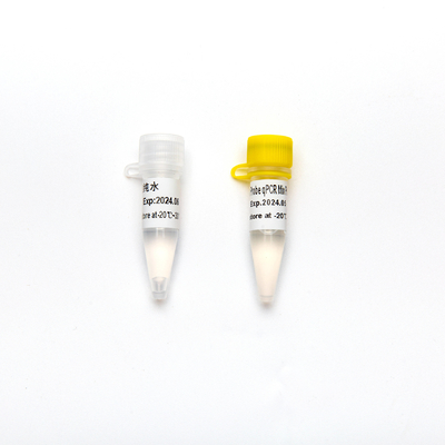 Più multiplo diretto concentrato della miscela del reagente di PCR della sonda 2× QPCR della premiscela con UDG