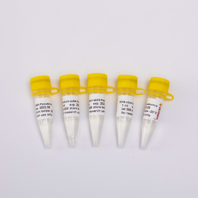Corredo acido nucleico 2019-NCoV-AbEN Pseudovirus V1001 V1002 V1003 di purificazione di GDSBio