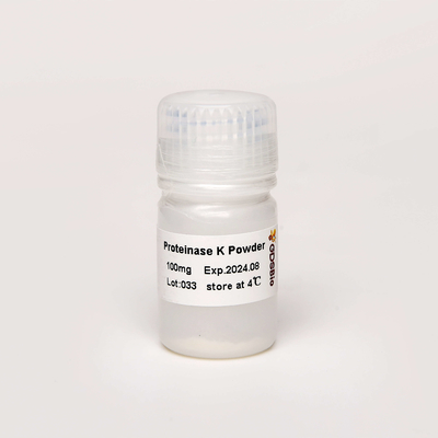 Polvere diagnostica in vitro PK N9016 100mg della proteinasi K del grado di biologia molecolare dei prodotti di GDSBio