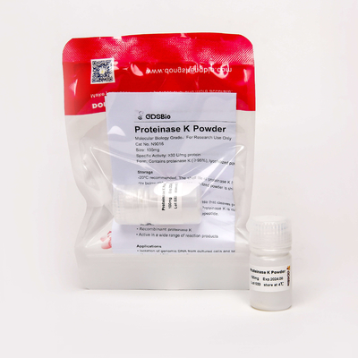 Polvere diagnostica in vitro PK N9016 100mg della proteinasi K del grado di biologia molecolare dei prodotti di GDSBio