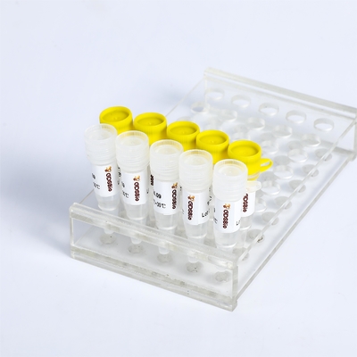 KASP PCR Master Mix P4021 P4022 SNP rilevamento di InDels